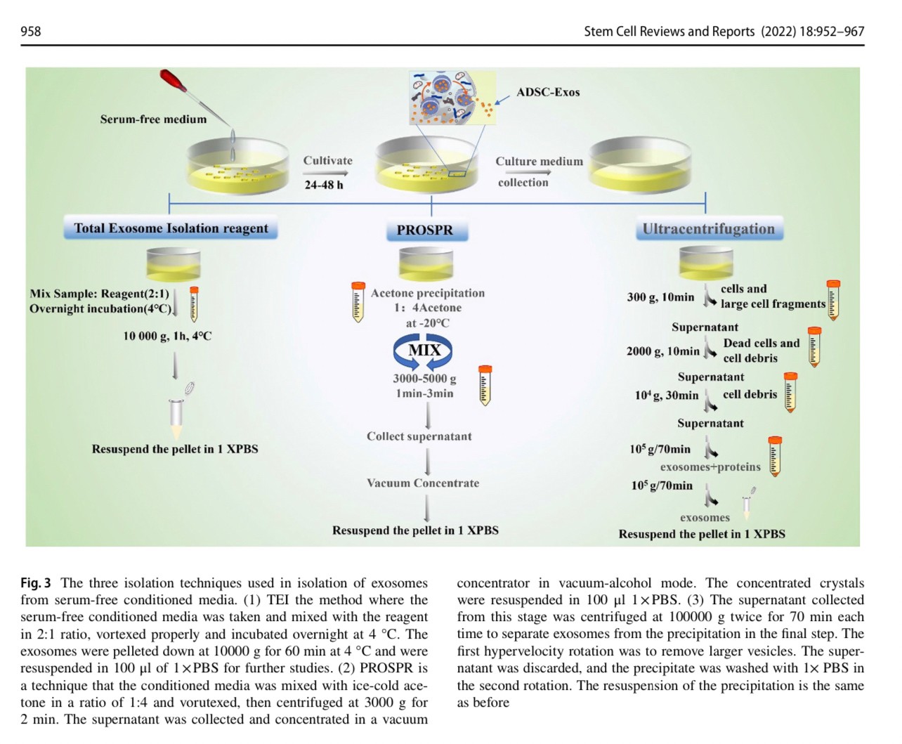 แนะนำเทคนิคดูแลแผลเป็น: Exosome ในการดูแลแผลและแผลเป็น Exosome Therapy in Wound and Scar Management แนะนำเทคนิคดูแลแผลเป็น: Exosome ในการดูแลแผลและแผลเป็น Exosome Therapy in Wound and Scar Management