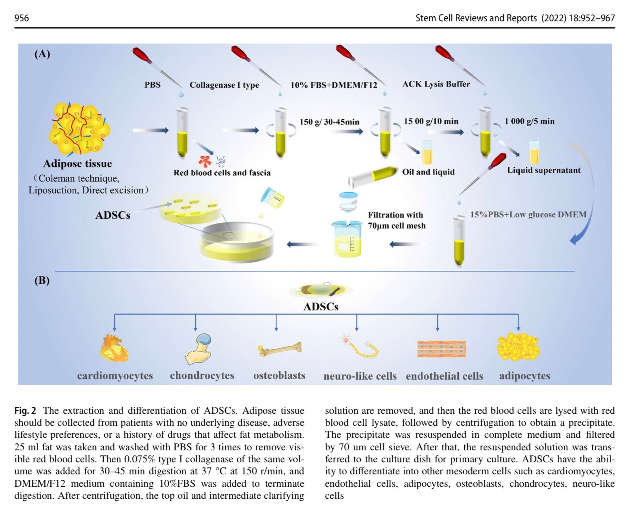 แนะนำเทคนิคดูแลแผลเป็น: Exosome ในการดูแลแผลและแผลเป็น Exosome Therapy in Wound and Scar Management แนะนำเทคนิคดูแลแผลเป็น: Exosome ในการดูแลแผลและแผลเป็น Exosome Therapy in Wound and Scar Management
