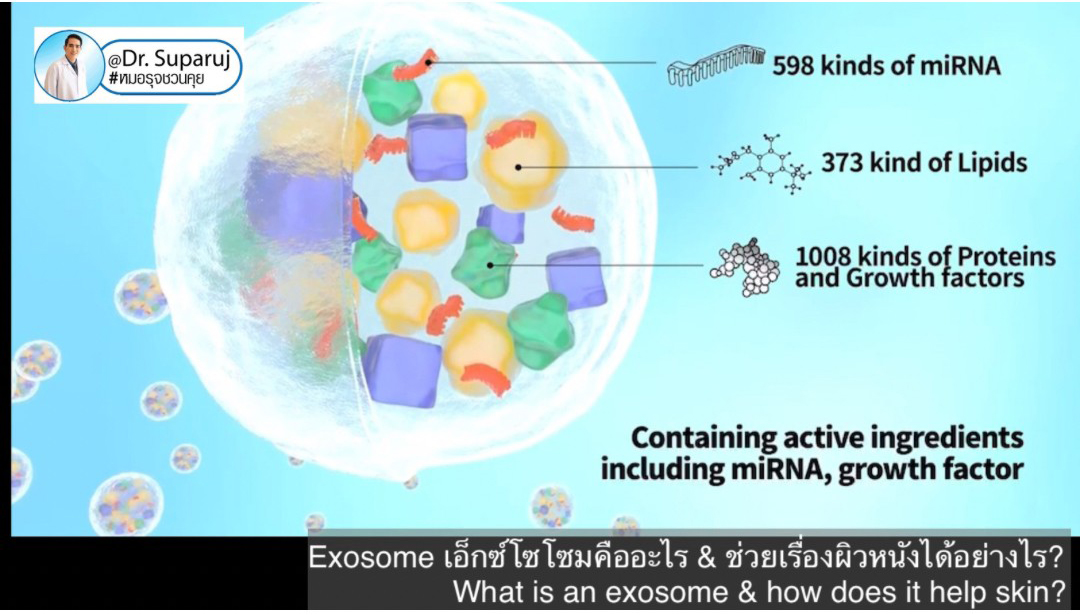 Exosomes มีบทบาทและกลไกในการดูแลฝ้า หรือไม่ & กลไกลเป็นอย่างไร ?