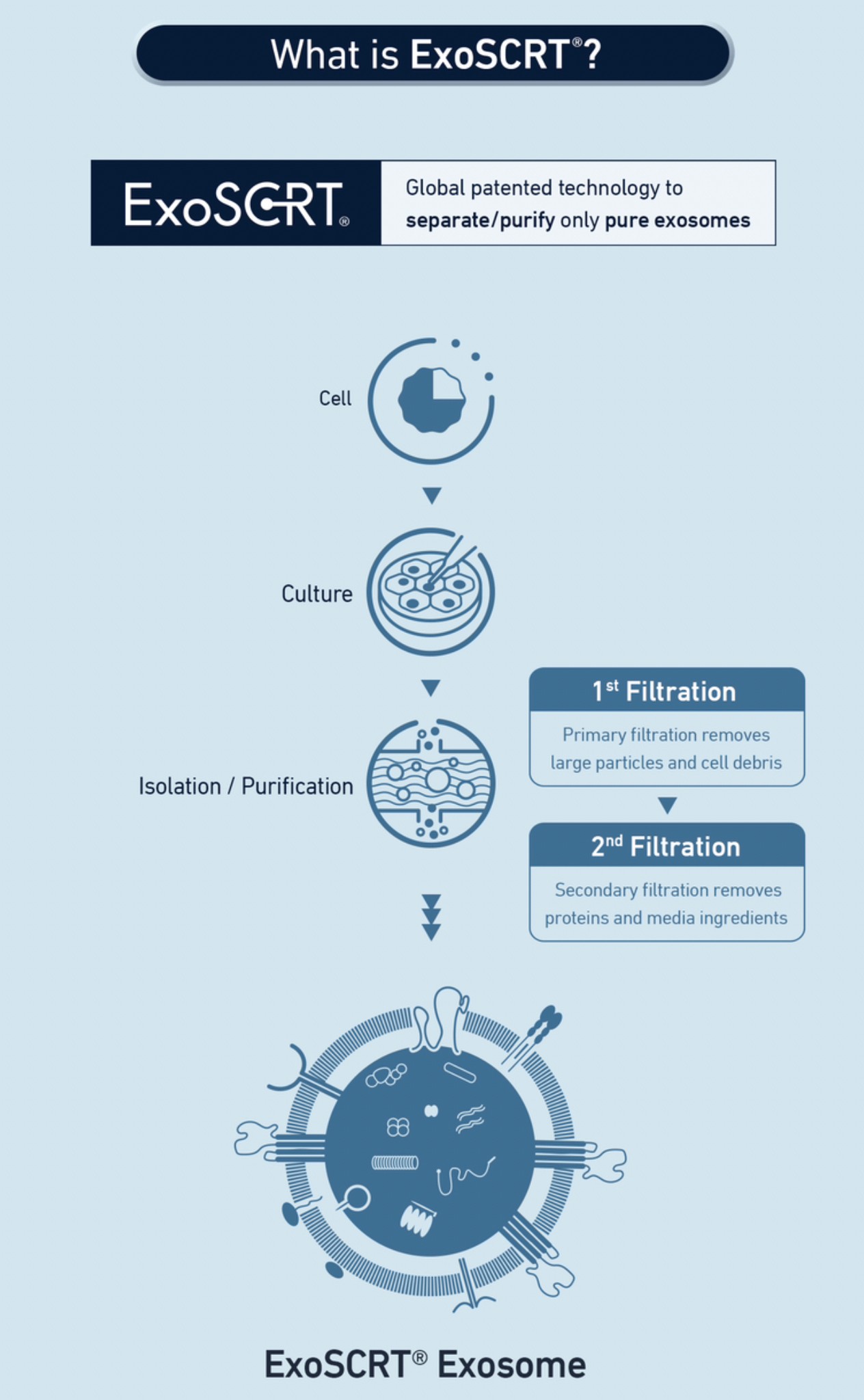 แนะนำสกินแคร์ดูแลผิวหลังเลเซอร์: EXOBALM เอ็กซ์โซบาล์ม ASCE+ Exosome เอ็กซ์โซโซมชนิดทา ดูแลผิวหลังเลเซอร์ ผิวหนังอักเสบ (+ สกินแคร์อื่นๆที่ใช้หลังเลเซอร์ )  แนะนำสกินแคร์ดูแลผิวหลังเลเซอร์: EXOBALM เอ็กซ์โซบาล์ม ASCE+ Exosome เอ็กซ์โซโซมชนิดทา ดูแลผิวหลังเลเซอร์ ผิวหนังอักเสบ (+ สกินแคร์อื่นๆที่ใช้หลังเลเซอร์ )
