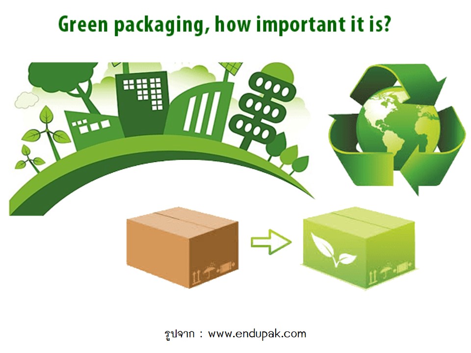 Green Packaging ในธุรกิจเครื่องสำอาง bkkpaperbox