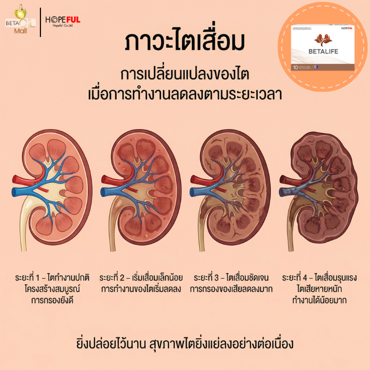 ภาวะไต เสื่อม 