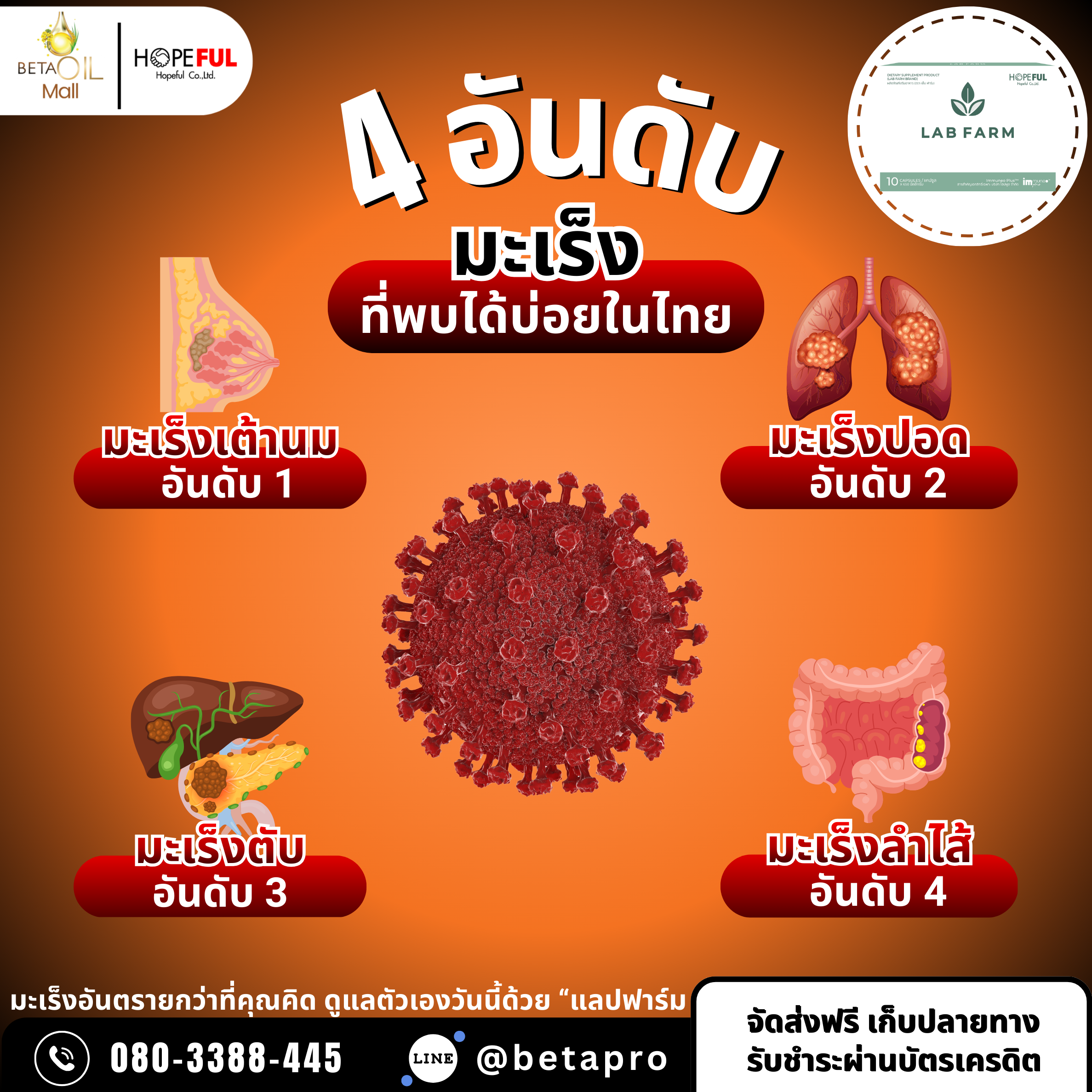 4 อันดับมะเร็ง