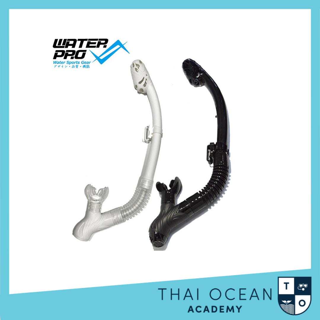 Water Pro DS Dry Snorkel