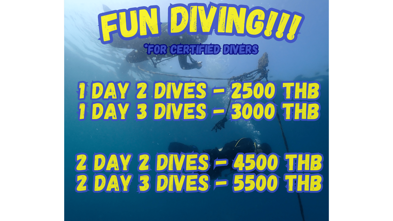 fun dive prices