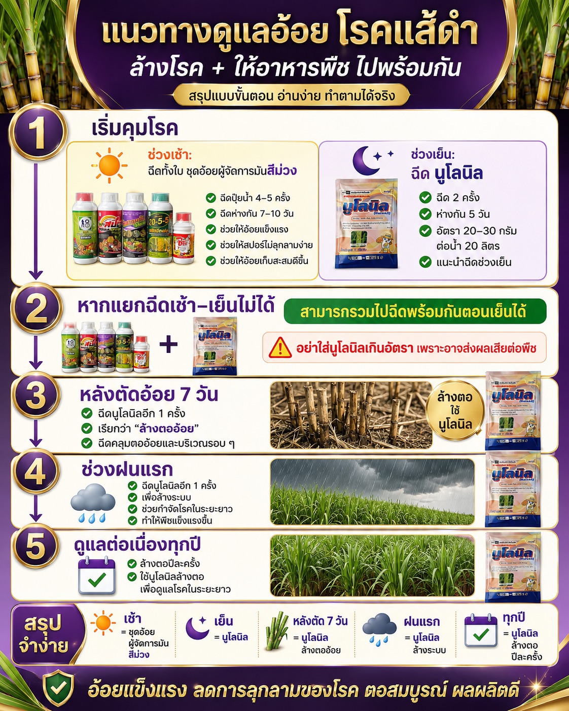 โรคแส้ดำในอ้อย ดูแลอย่างไร