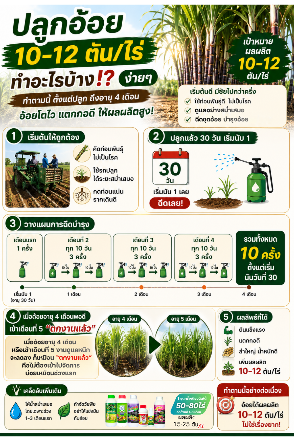 ปลูกอ้อยให้ได้ 10-12 ตันต่อไร่ ด้วยระบบผู้จัดการมันอ้อย