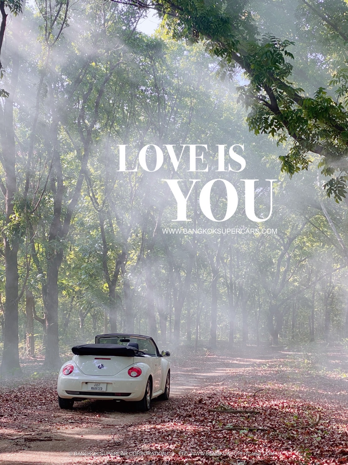 Wedding Car ให้เช่ารถแต่งงาน Beetle เปิดประทุน