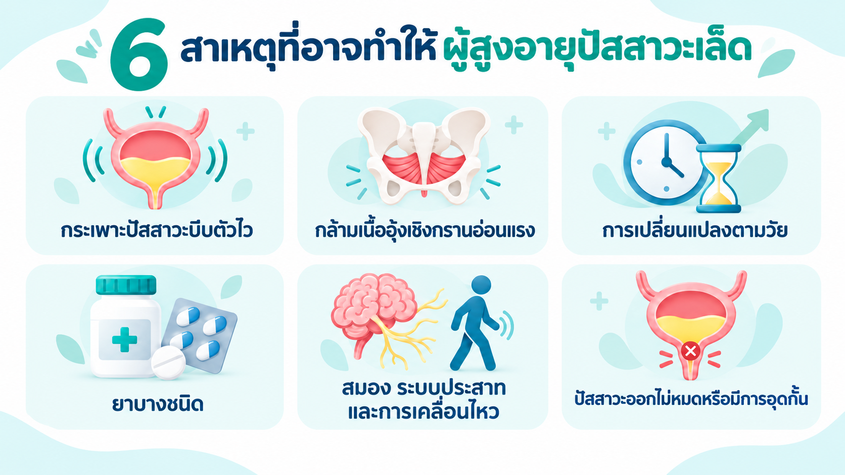 สาเหตุปัสสาวะเล็ดในผู้สูงอายุ