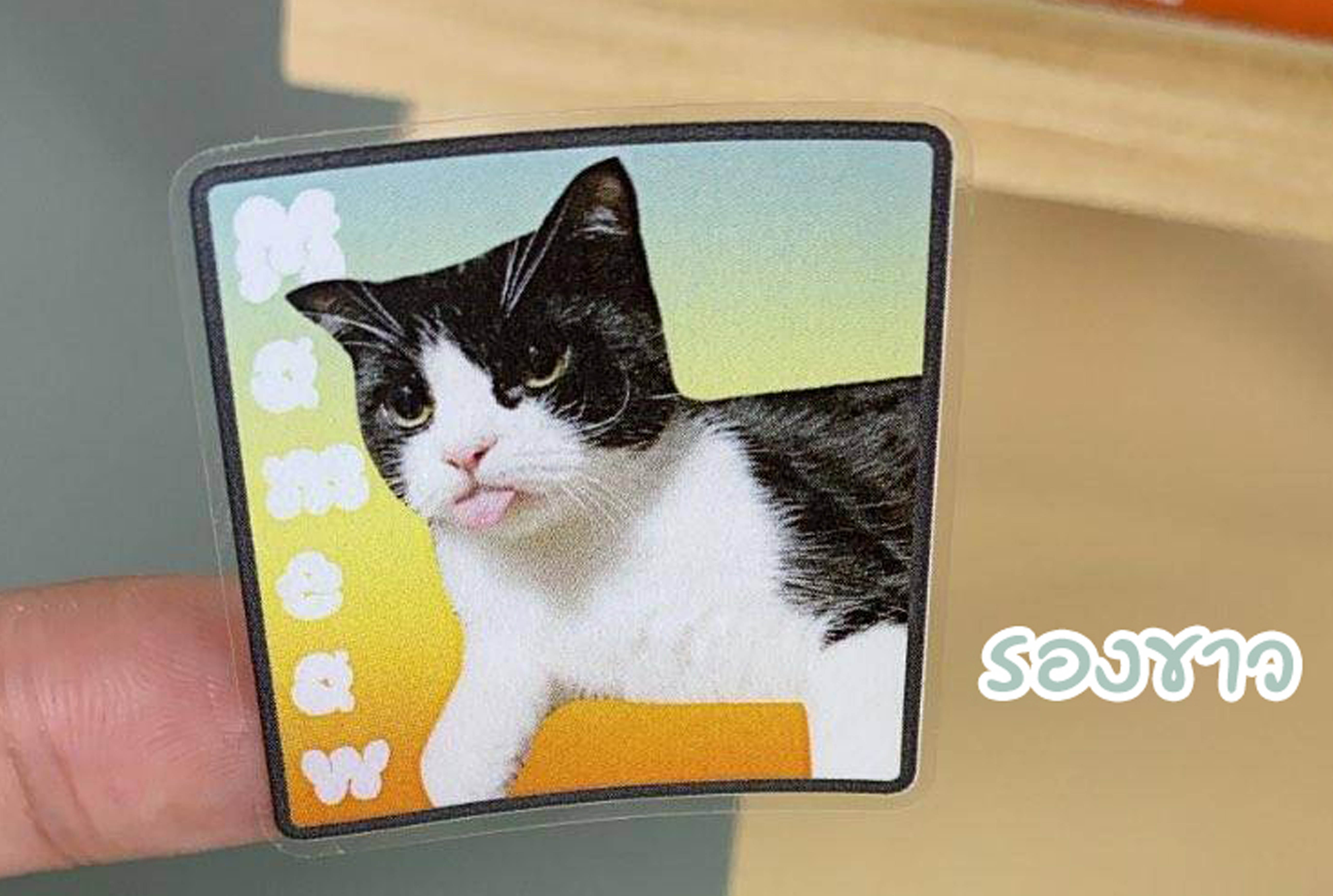 รับพิมพ์งานกระดาษรองขาว