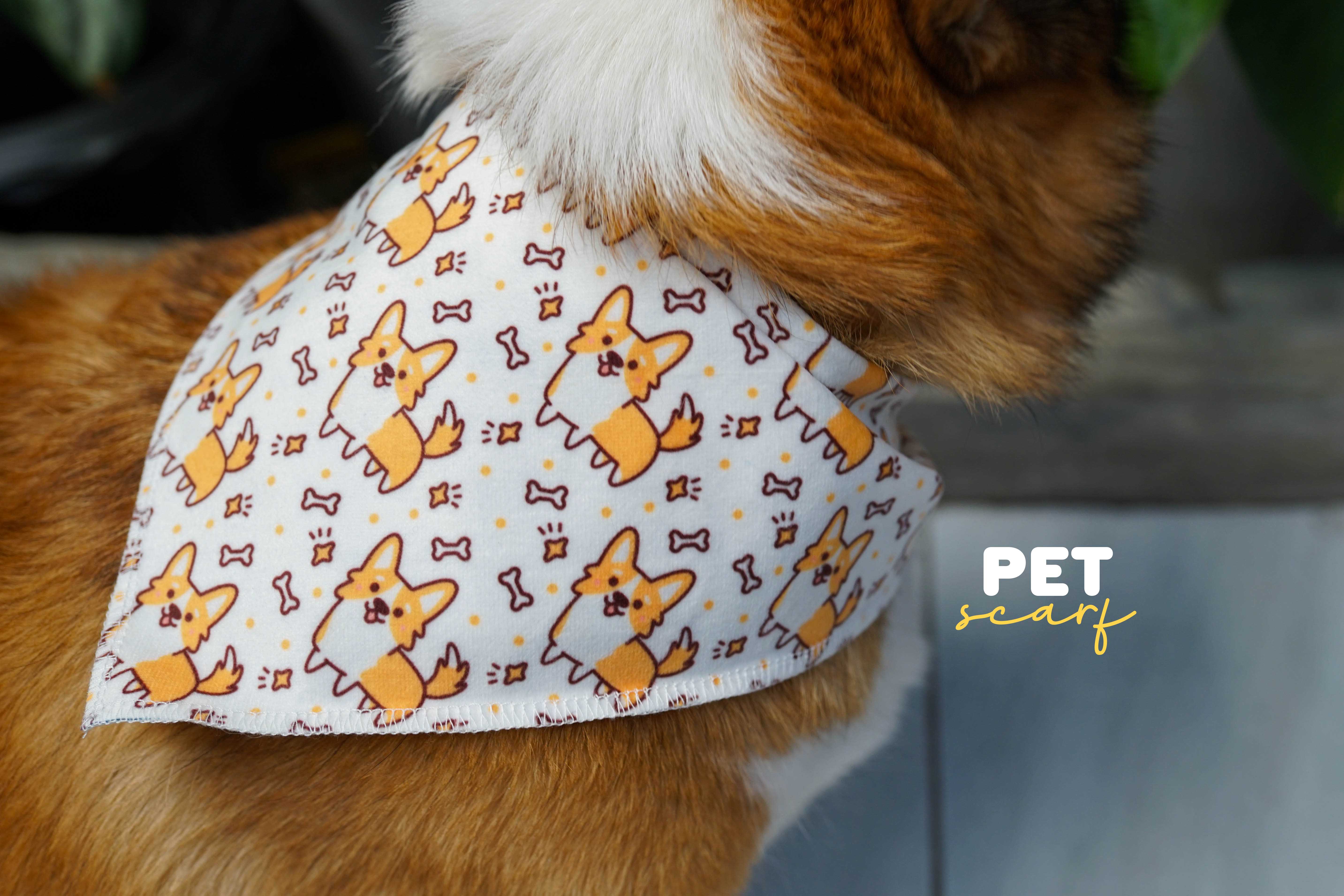 รับทำผ้าพันคอน้องหมา น้องแมว รับทำผ้าพันคอน้องหมา น้องแมว