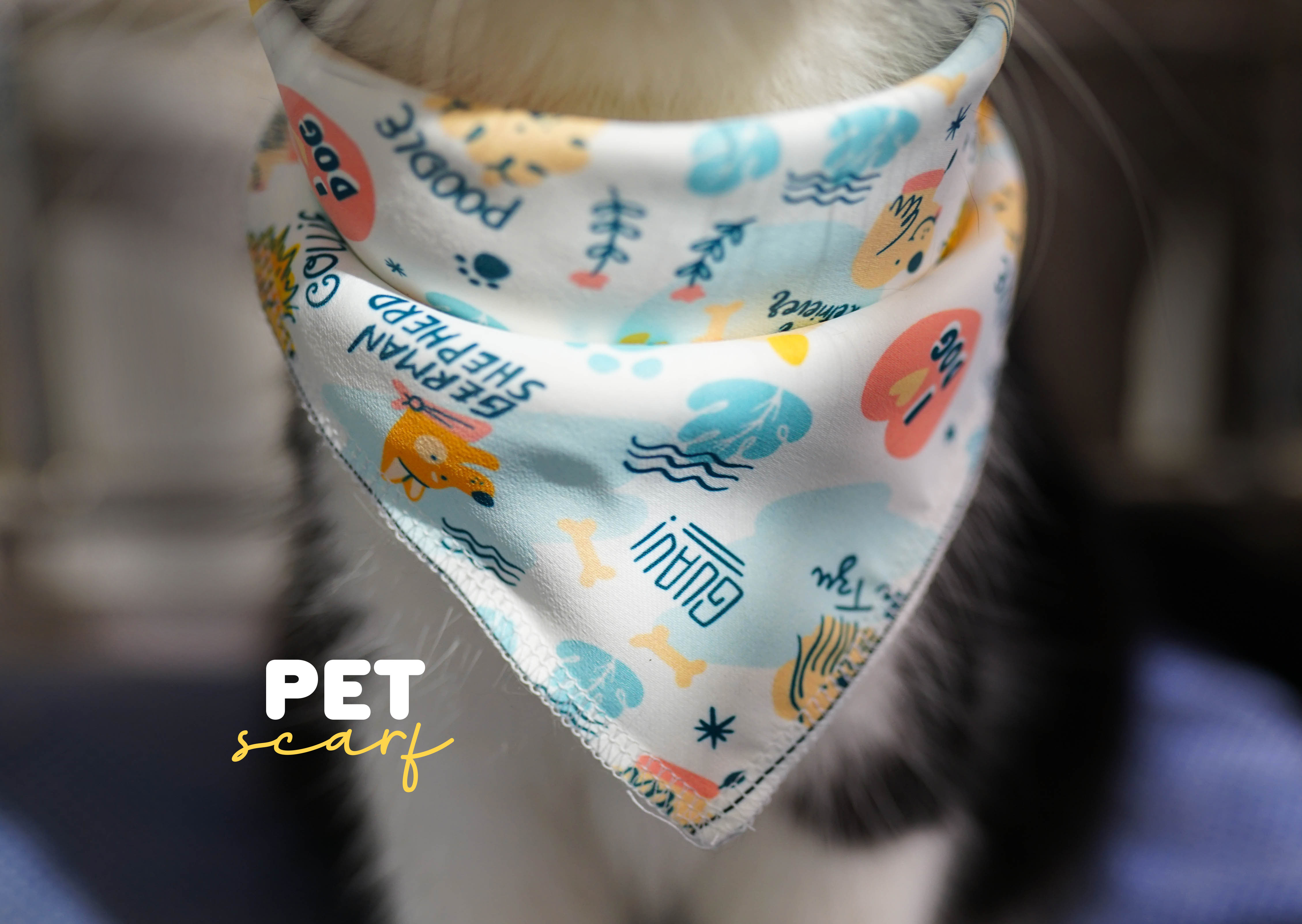 รับทำผ้าพันคอน้องหมา น้องแมว รับทำผ้าพันคอน้องหมา น้องแมว