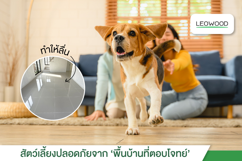 สัตว์เลี้ยงปลอดภัยจาก 