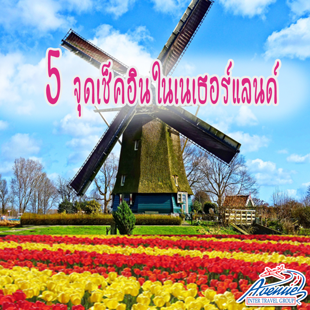 My Image 48