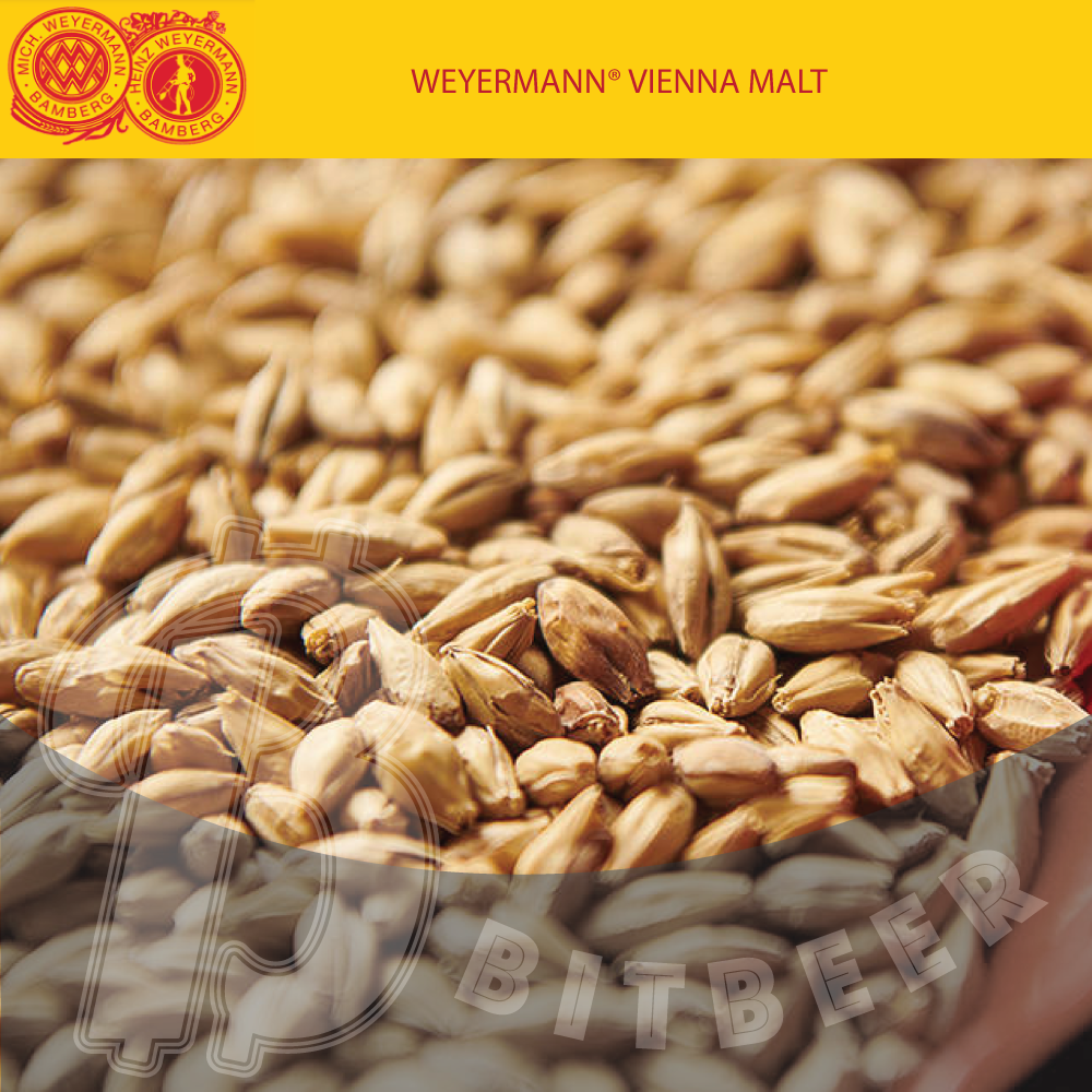 มอลต์ Pale Ale Malt bitbeerhub