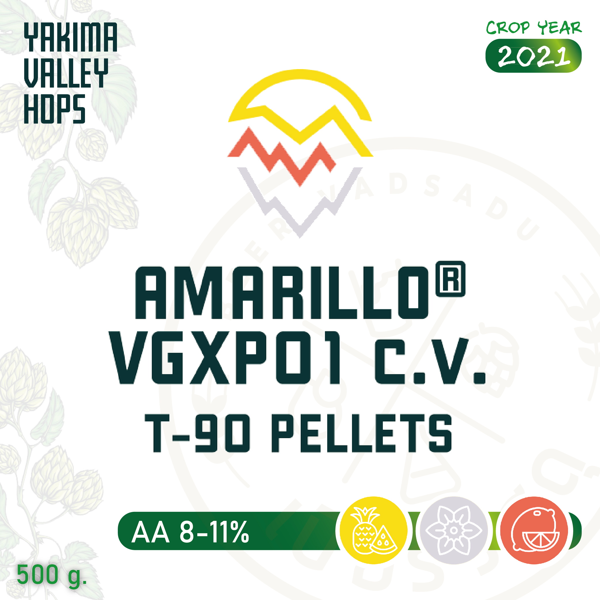 ฮอปทำเบียร์ Amarillo Hops 500 กรัม (2021)