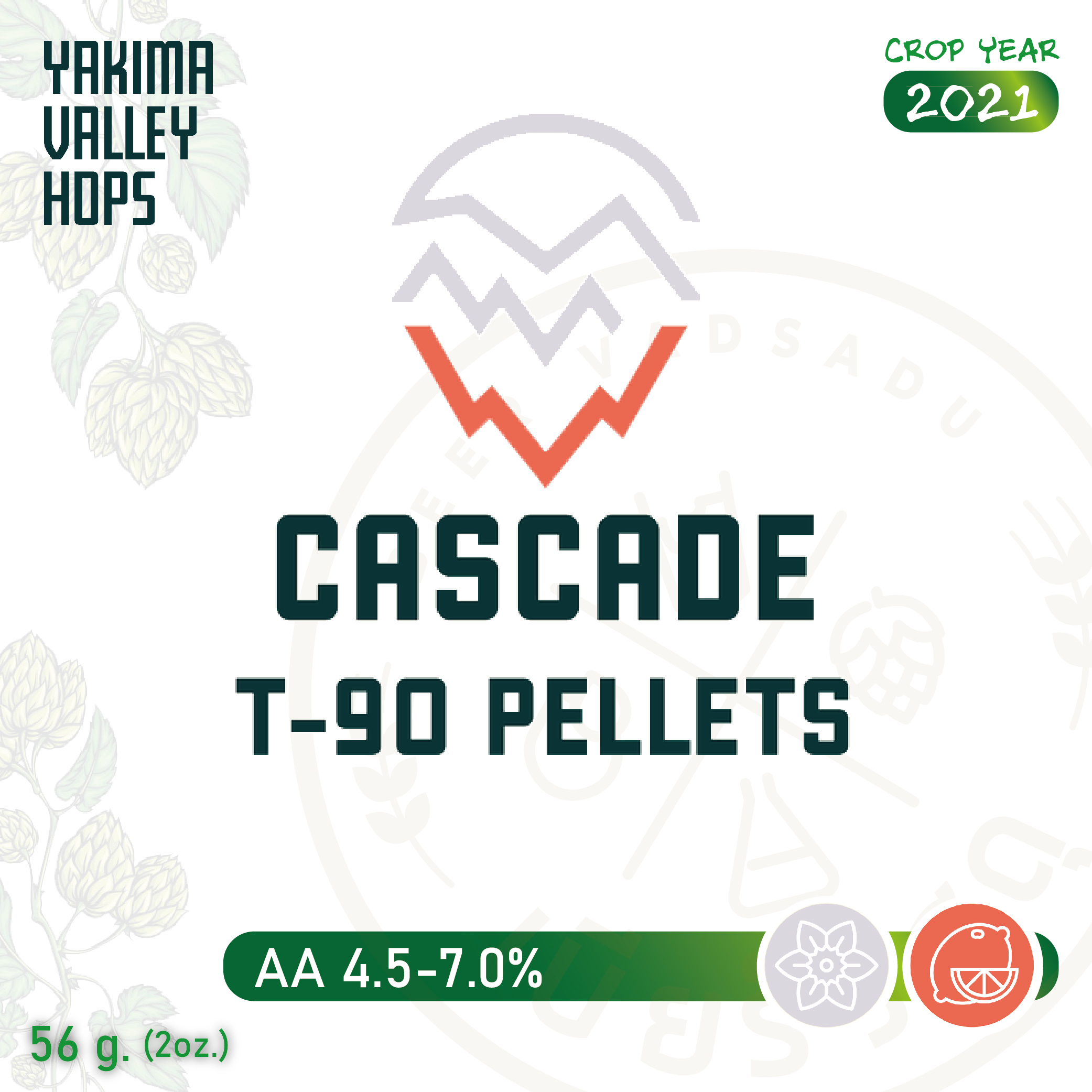 ฮอปทำเบียร์ Cascade 500g(2021)