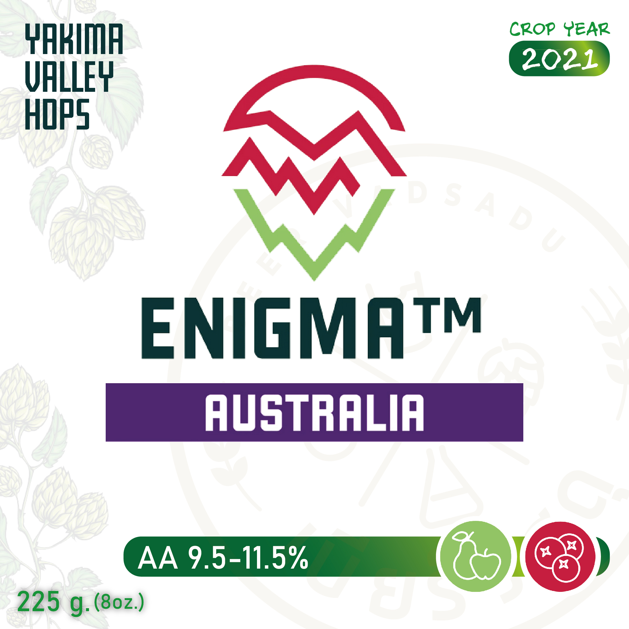 ฮอปทำเบียร์ Enigma (8 oz)