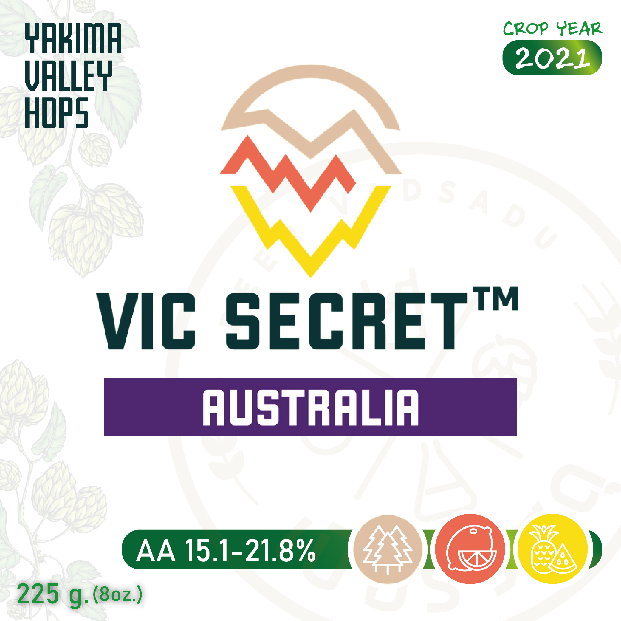 ฮอปทำเบียร์ Vic Secret 8 oz