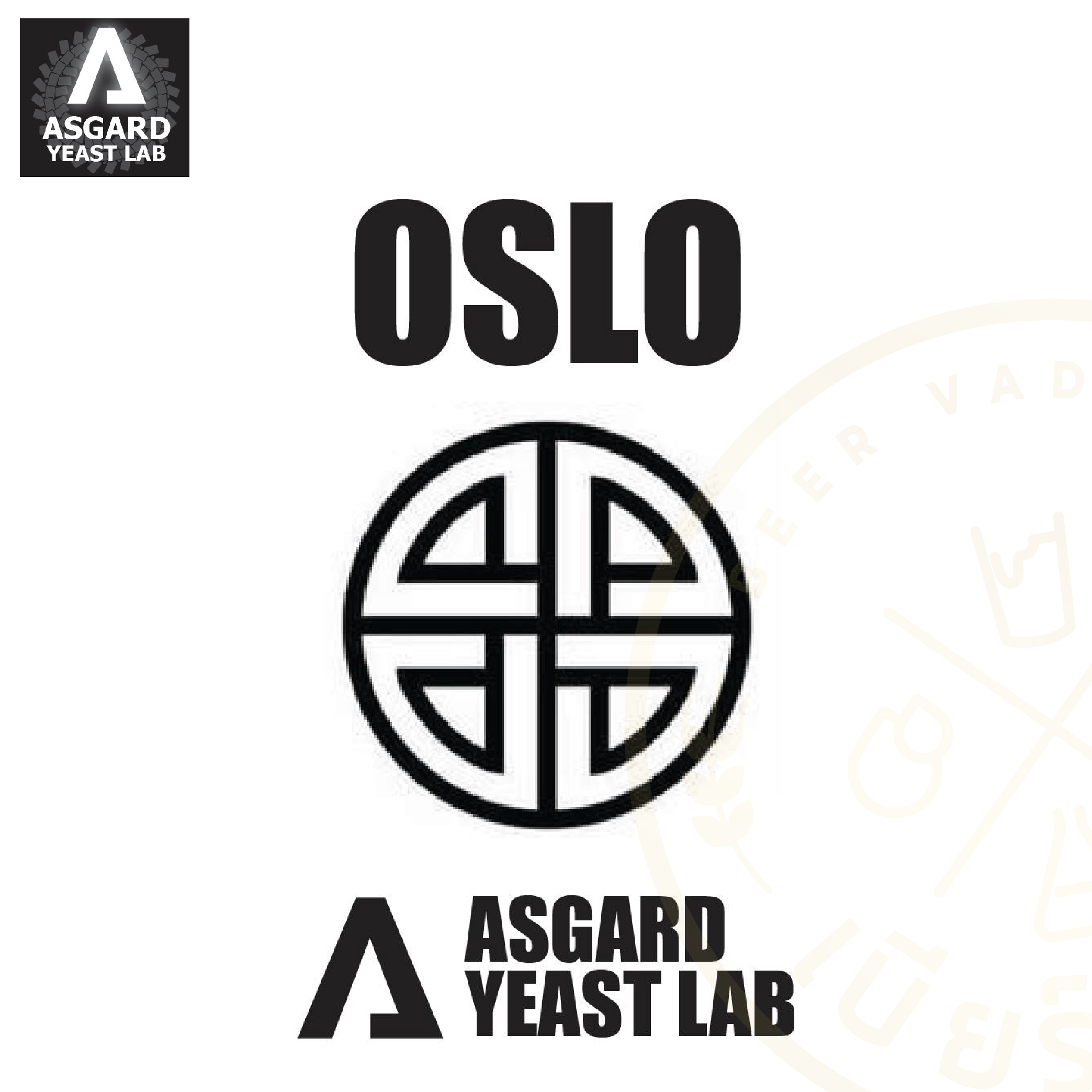 Kviek Olso #0 (Asgard Yeast Lab)