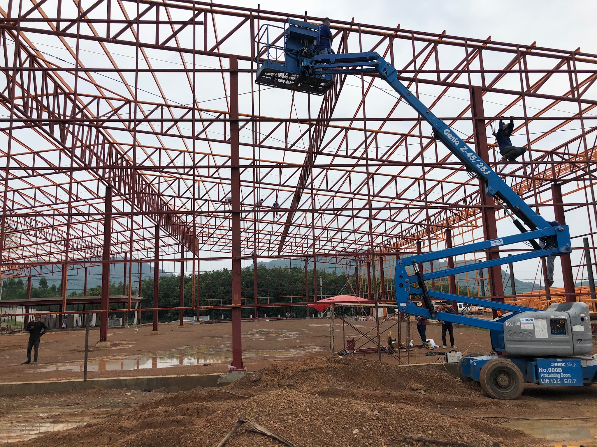 V.P. FARM&FOAM Factory Ctbonanza