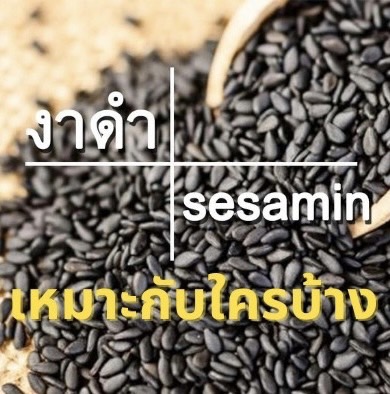 งาดำ_เซซามิน_เหมาะกับใครบ้าง