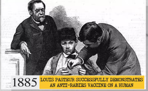 Rabies Vaccine Origin