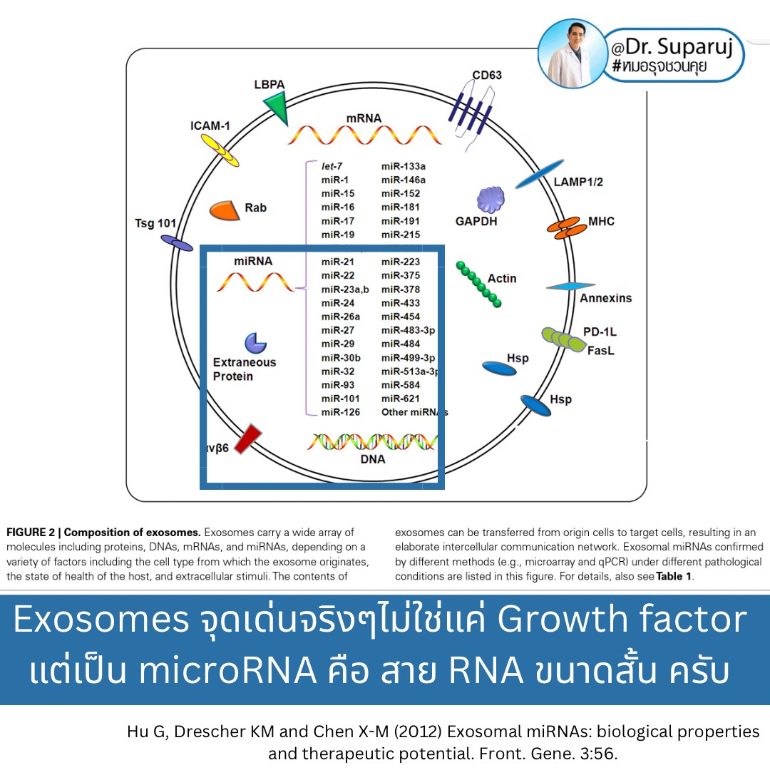 Exosomes มีบทบาทและกลไกในการดูแลฝ้า หรือไม่ & กลไกลเป็นอย่างไร ? Exosomes มีบทบาทและกลไกในการดูแลฝ้า หรือไม่ & กลไกลเป็นอย่างไร ?