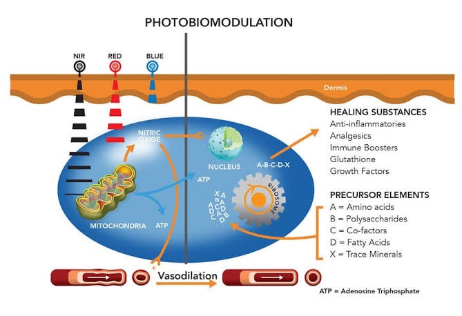 โปรแกรม PORA COOL + Skin Radiant Treatment โพล่าร์คูล + สกินเรเดียน ทรีทเมนท์ หน้ากระจ่างใส ลดการอักเสบของผิว ลดสิว โปรแกรม PORA COOL + Skin Radiant Treatment โพล่าร์คูล + สกินเรเดียน ทรีทเมนท์ หน้ากระจ่างใส ลดการอักเสบของผิว ลดสิว