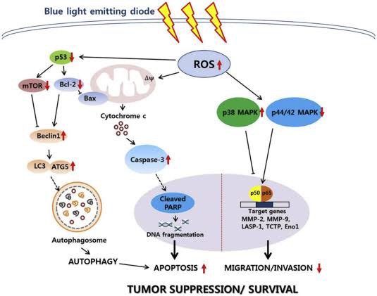โปรแกรม PORA COOL + Skin Radiant Treatment โพล่าร์คูล + สกินเรเดียน ทรีทเมนท์ หน้ากระจ่างใส ลดการอักเสบของผิว ลดสิว โปรแกรม PORA COOL + Skin Radiant Treatment โพล่าร์คูล + สกินเรเดียน ทรีทเมนท์ หน้ากระจ่างใส ลดการอักเสบของผิว ลดสิว