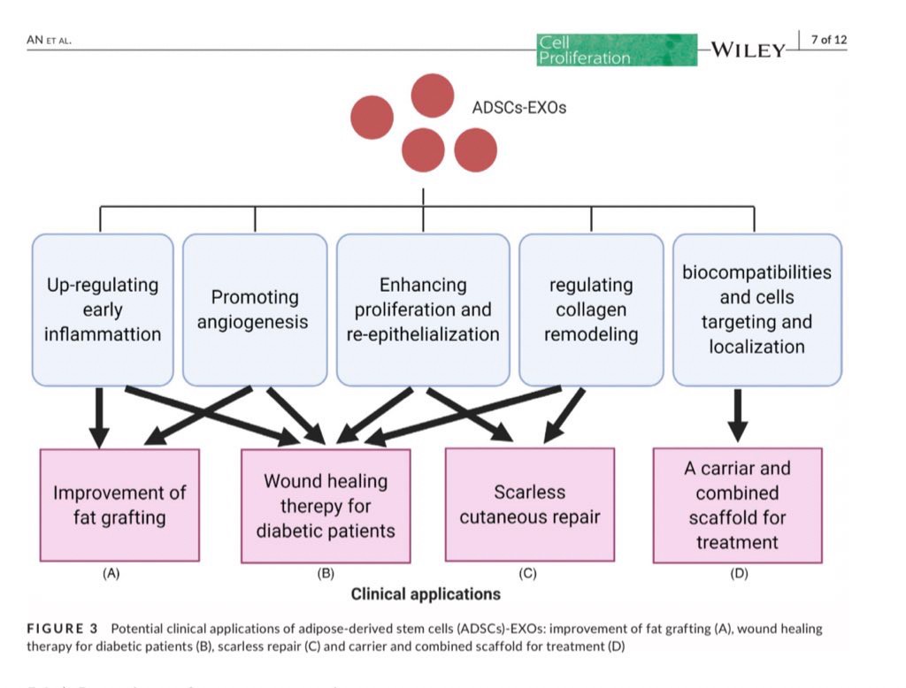 แนะนำเทคนิคในการดูแลหลุมสิว: Exosome ใน การรักษาหลุมสิว (Exosome & acne scar treatment) แนะนำเทคนิคในการดูแลหลุมสิว: Exosome ใน การรักษาหลุมสิว (Exosome & acne scar treatment)