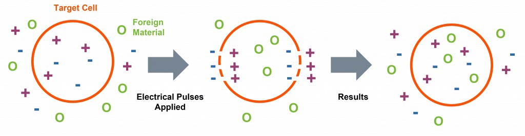 โปรแกรม PORA COOL + Skin Radiant Treatment โพล่าร์คูล + สกินเรเดียน ทรีทเมนท์ หน้ากระจ่างใส ลดการอักเสบของผิว ลดสิว โปรแกรม PORA COOL + Skin Radiant Treatment โพล่าร์คูล + สกินเรเดียน ทรีทเมนท์ หน้ากระจ่างใส ลดการอักเสบของผิว ลดสิว