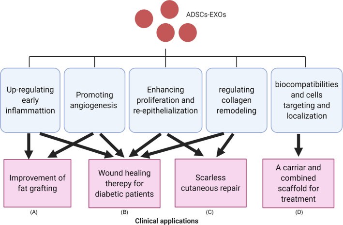 แนะนำเทคนิคในการดูแลหลุมสิว: Exosome ใน การรักษาหลุมสิว (Exosome & acne scar treatment) แนะนำเทคนิคในการดูแลหลุมสิว: Exosome ใน การรักษาหลุมสิว (Exosome & acne scar treatment)