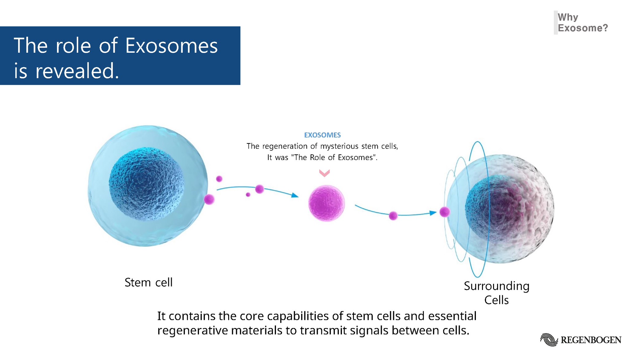 แนะนำเทคนิคในการดูแลหลุมสิว: Exosome ใน การรักษาหลุมสิว (Exosome & acne scar treatment)