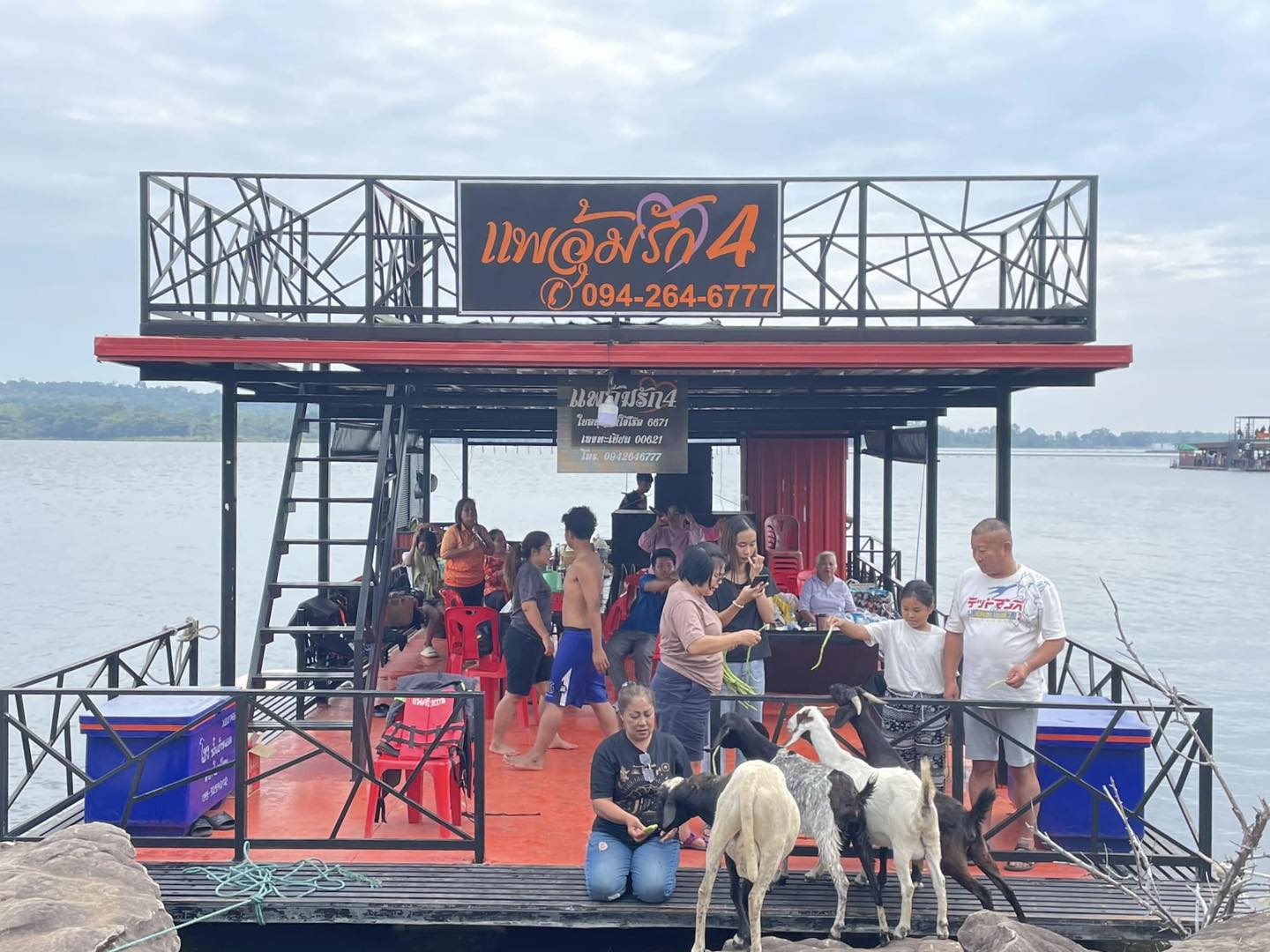 แพอุ้มรัก 4