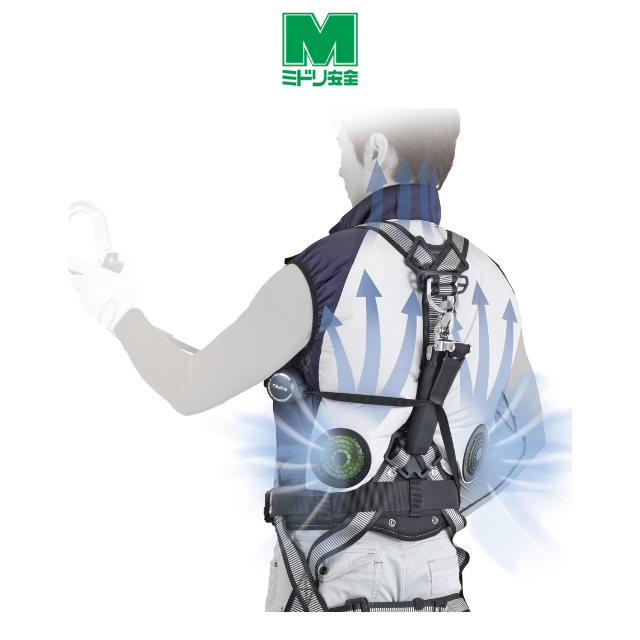2_4.png?v=202405291424