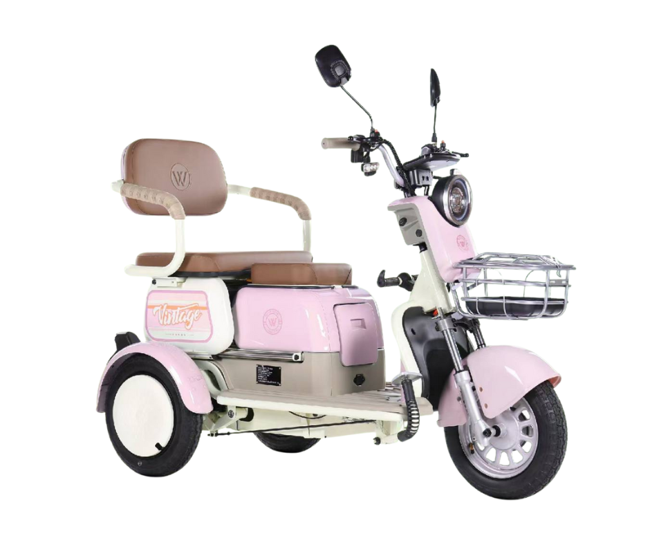 ZX-X5 สกูตเตอร์ไฟฟ้า มอเตอร์ไซค์ไฟฟ้า 500W 35km/hr ZXTec