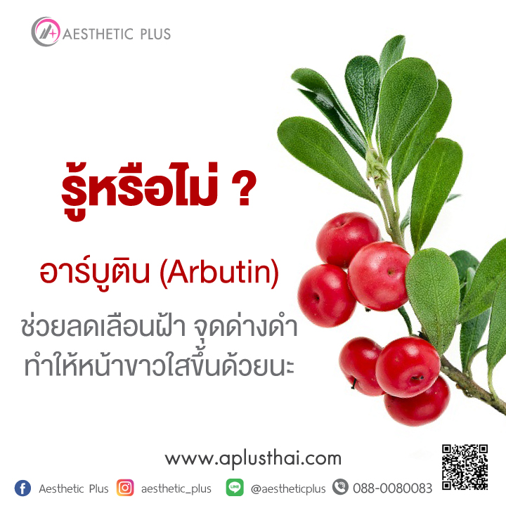 อาร์บูตินคืออะไร (Arbutin)