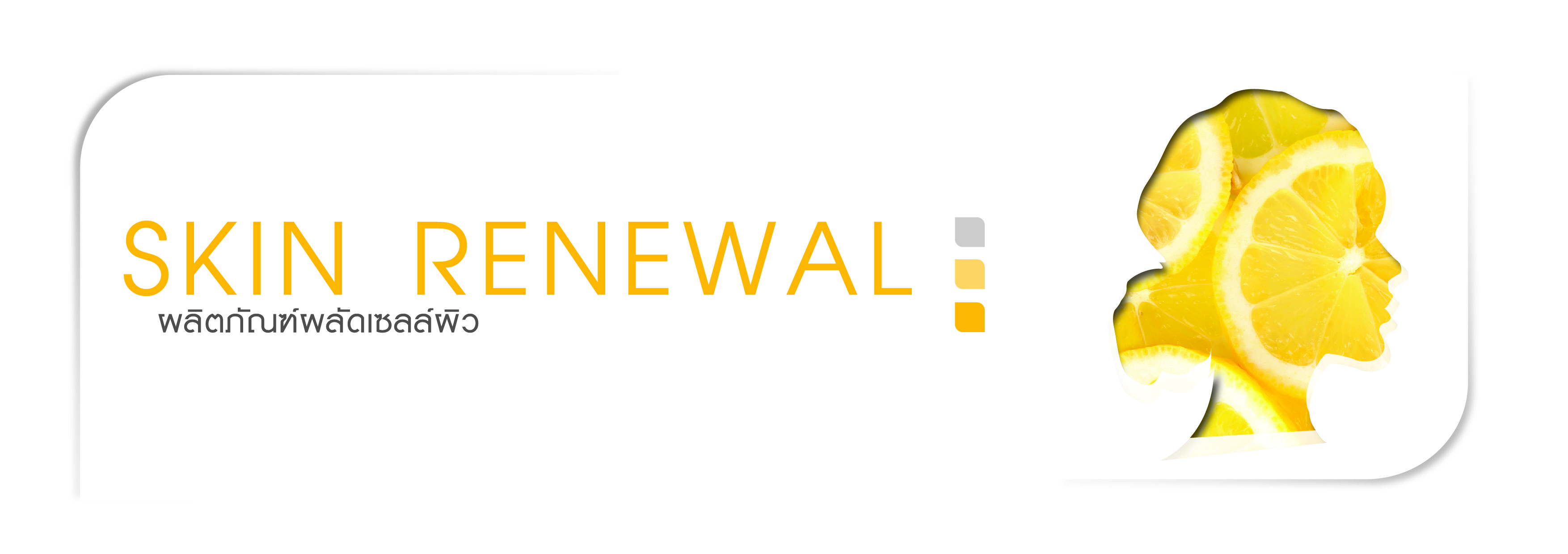 สินค้าทั้งหมด aplusthai