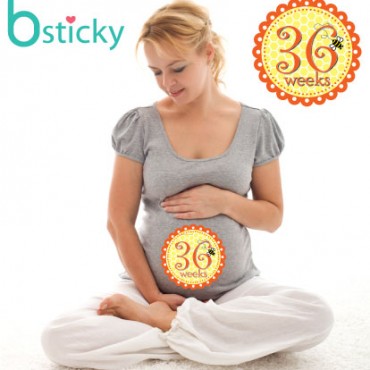 สติ๊กเกอร์อายุครรภ์ MOM Bsticky Buzz Buzz – Pregnancy Belly Stickers