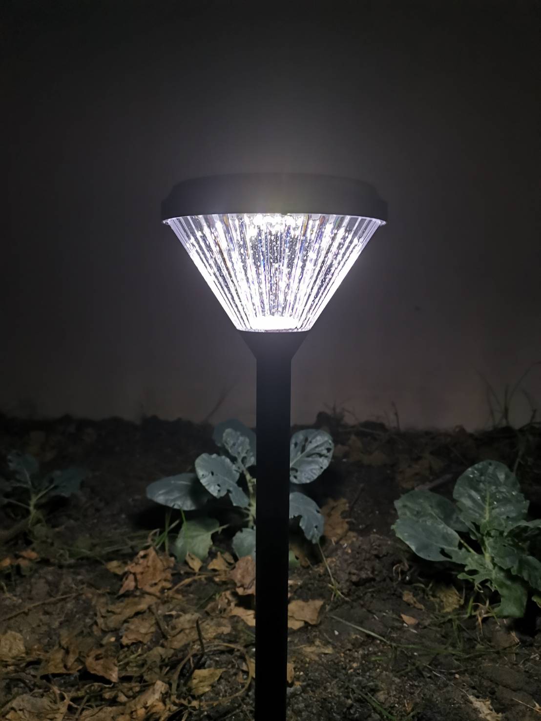 ไฟโซลาร์  garden light  BRL-816
