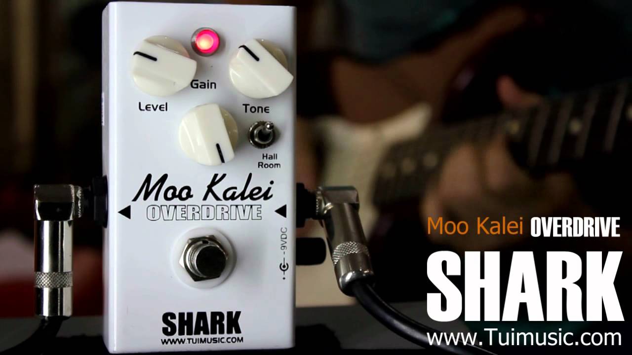 Shark Moo kalei overdrive