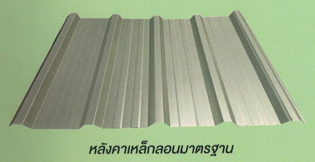 Standard Rib ลอนมาตรฐาน Standard Rib ลอนมาตรฐาน