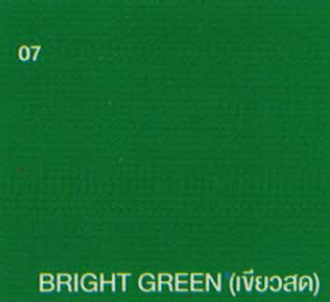 BRIGHT GREEN (เขียวสด)