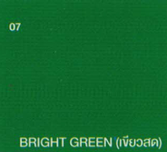 BRIGHT GREEN (เขียวสด) BRIGHT GREEN (เขียวสด)