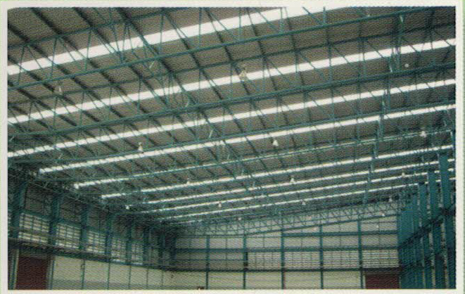 Skylight แผ่นหลังคาและผนังโปร่งแสง Skylight แผ่นหลังคาและผนังโปร่งแสง