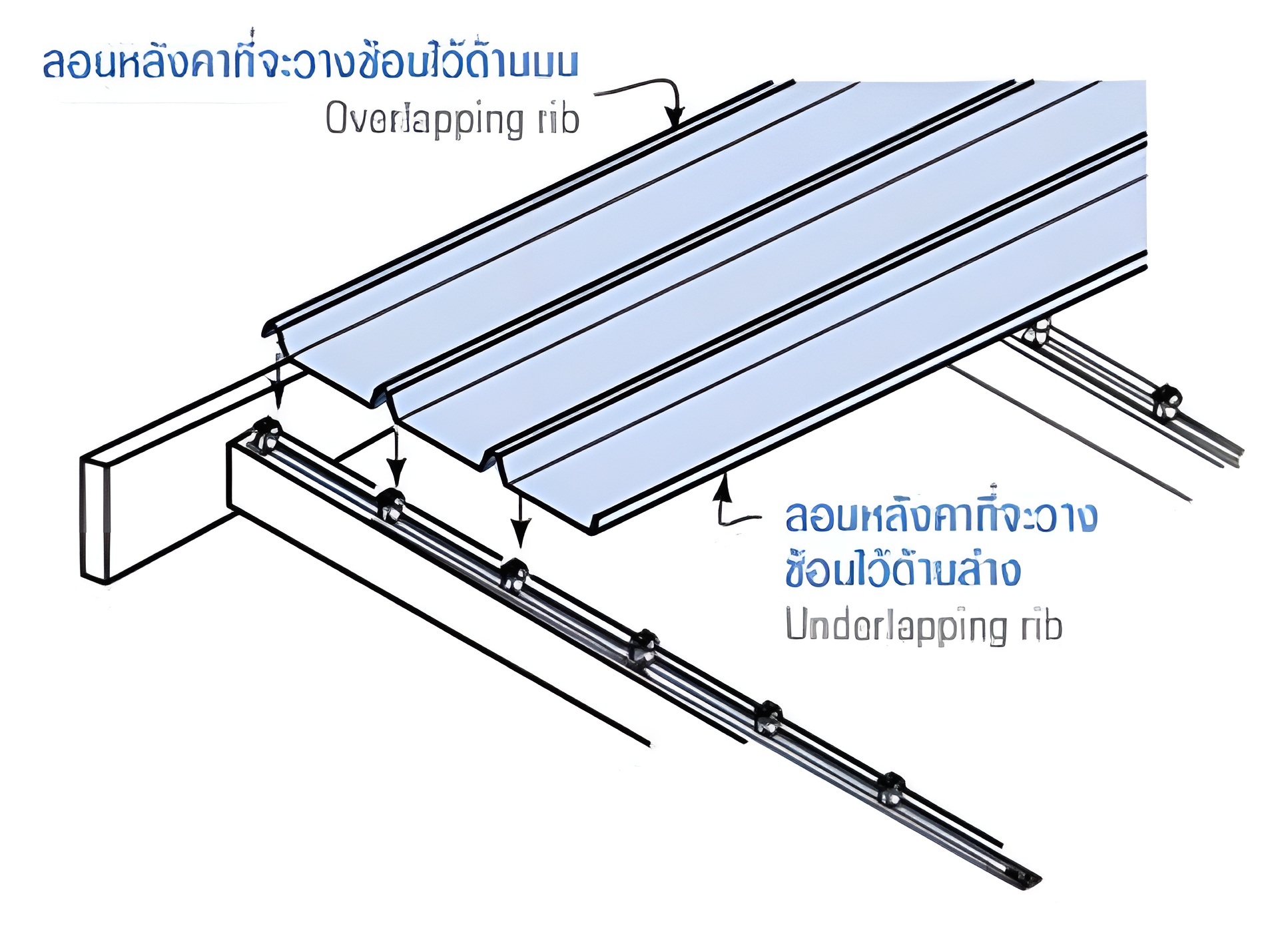 การวางแผ่นหลังคาแผ่นแรก การวางแผ่นหลังคาแผ่นแรก