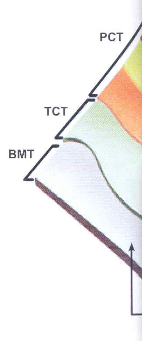 สีเคลือบ Clean COLORBOND® สีเคลือบ Clean COLORBOND®