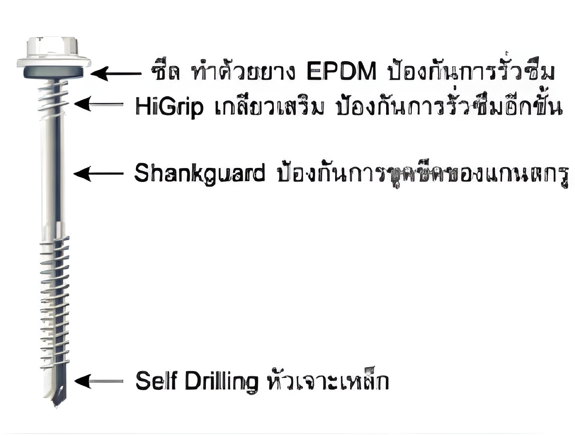 สกรู สกรู