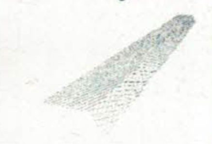 ตะแกรงอลูมิเนียม อุปกรณ์รางน้ำฝน รางน้ำฝน รางน้ำฝนไวนิล ตะแกรงอลูมิเนียม อุปกรณ์รางน้ำฝน รางน้ำฝน รางน้ำฝนไวนิล